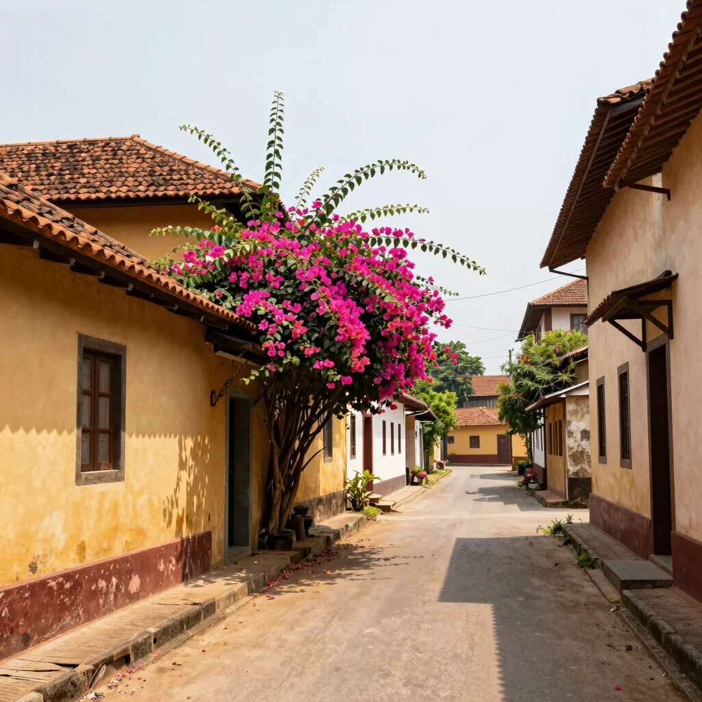 Guided Anjuna Heritage Trail